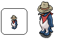 penguin_cowboy